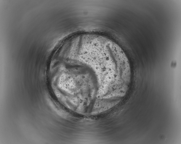 X0000112390592200909101413