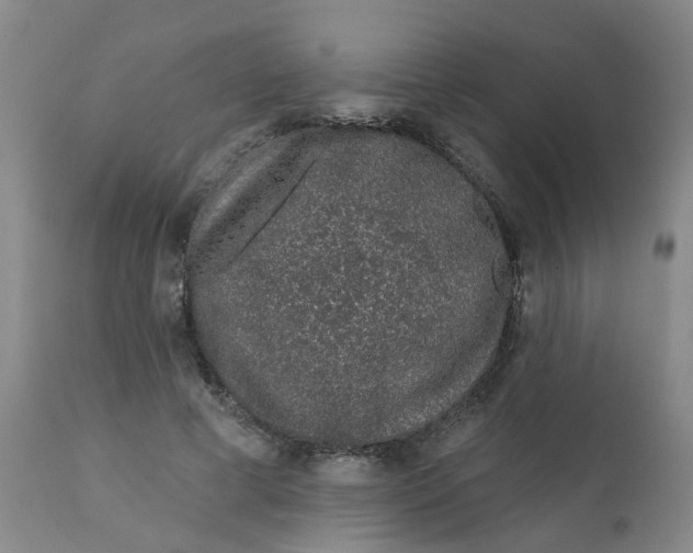 X0000112390593200909101413