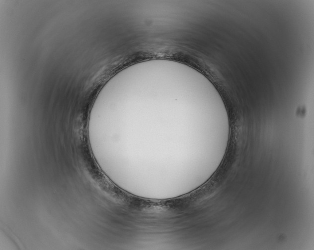 X0000112390594200909101413