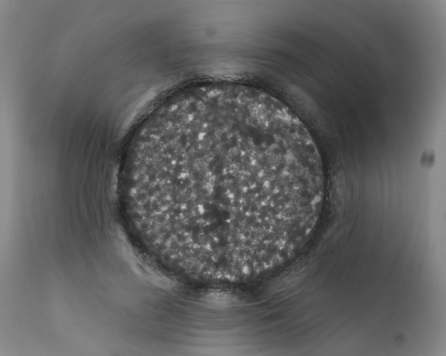X0000112390596200909101413