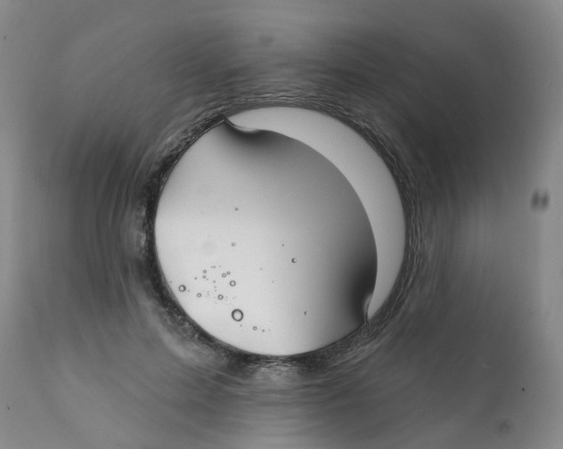X0000112390599200909101413