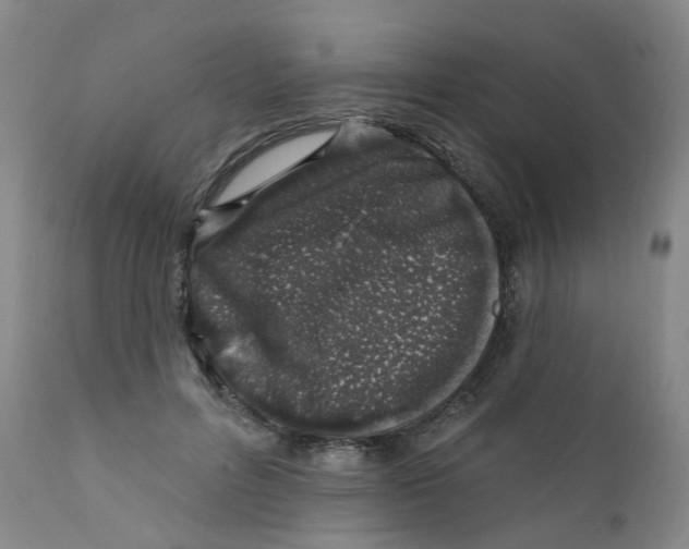 X0000112390600200909101413