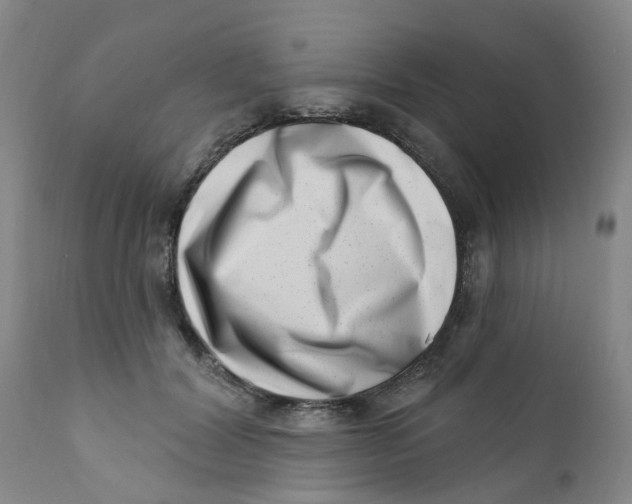 X0000112390604200909101413