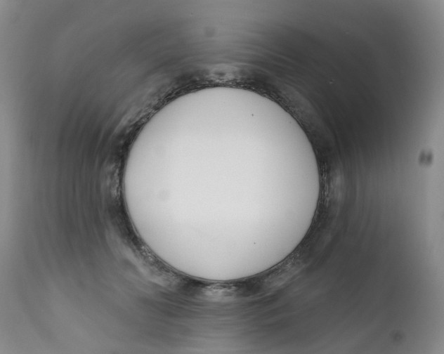 X0000112390606200909101413