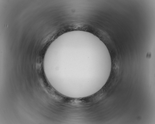 X0000112390607200909101413