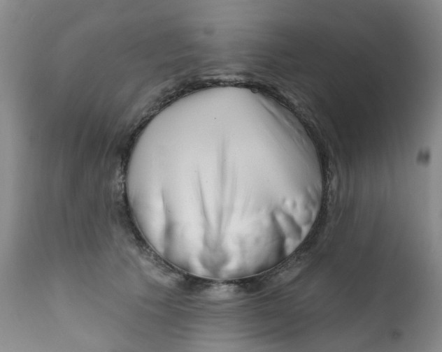 X0000112390609200909101413