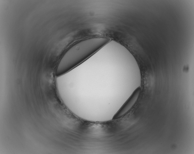X0000112390611200909101412
