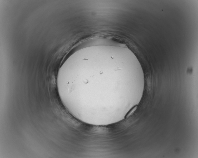 X0000112390617200909101412