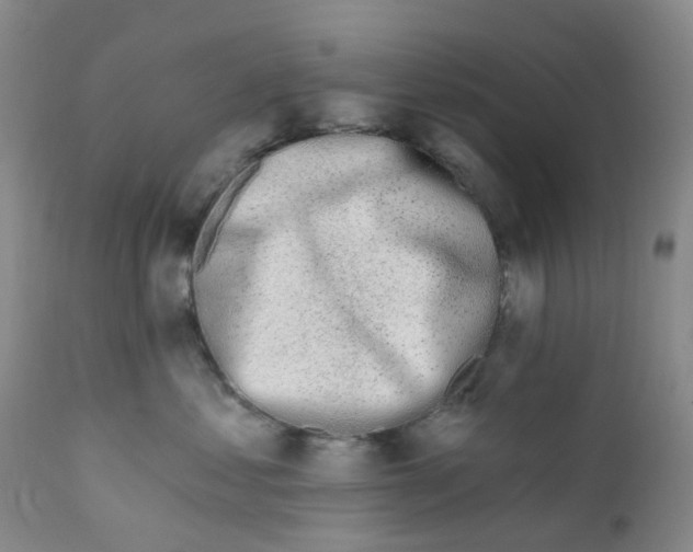 X0000112390621200909101412