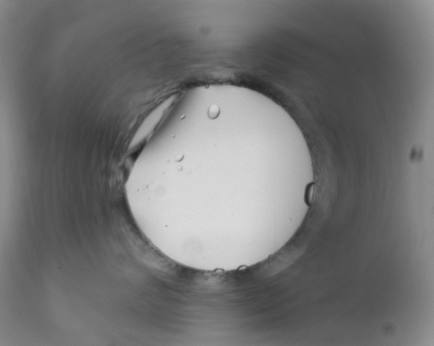 X0000112390624200909101412