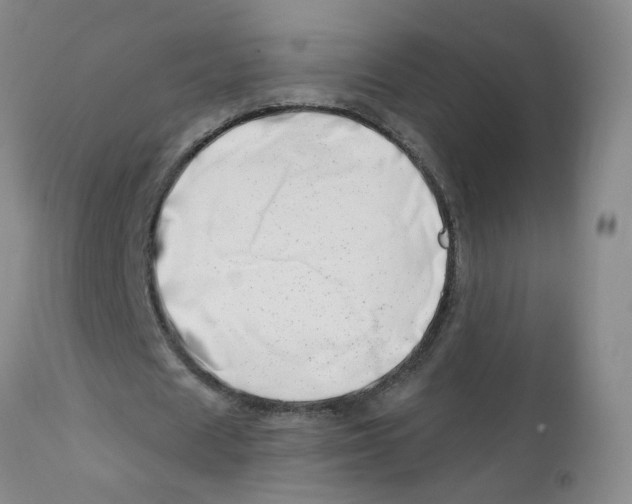 X0000112390625200909101411