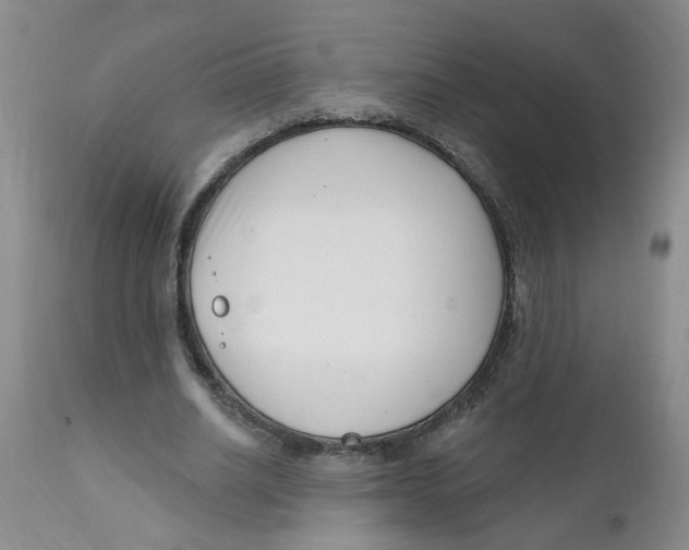 X0000112390630200909101412