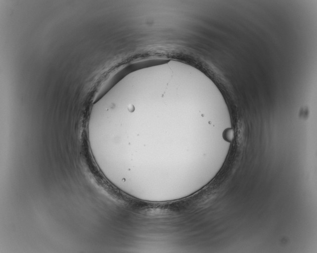 X0000112390637200909101412