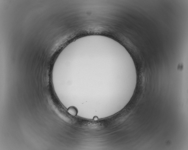 X0000112390638200909101412
