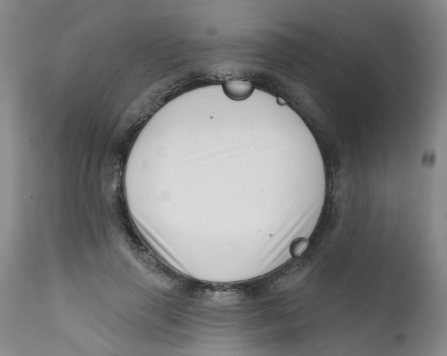 X0000112390645200909101412