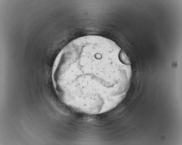 X0000112390655200909101412