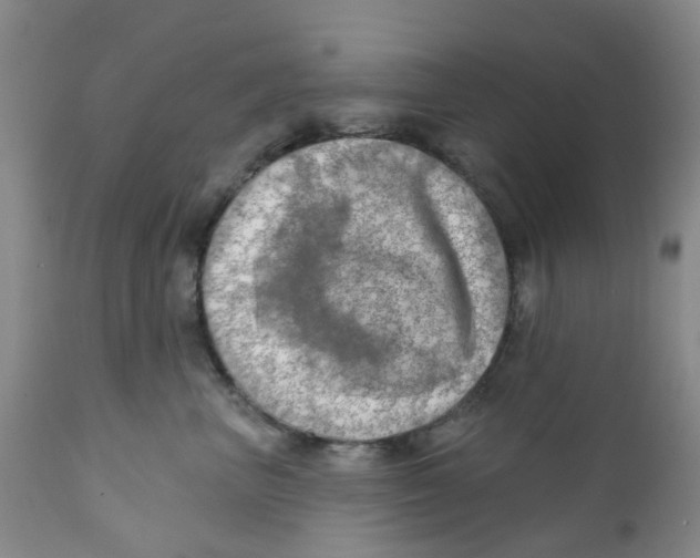 X0000112390667200909101412