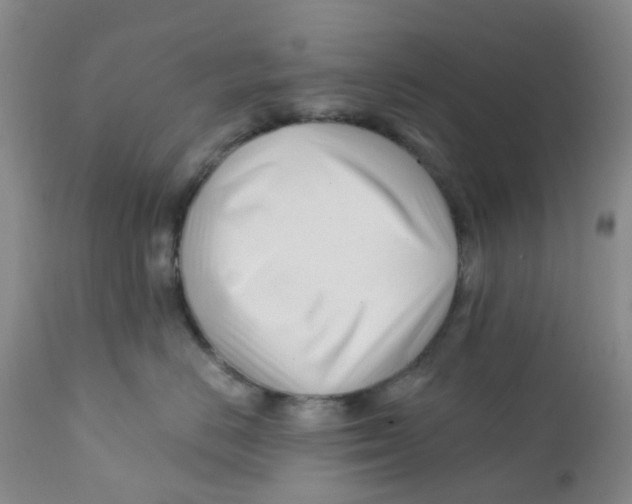 X0000112390670200909101412