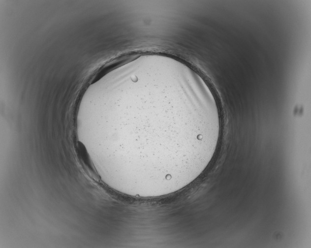 X0000112390673200909101411