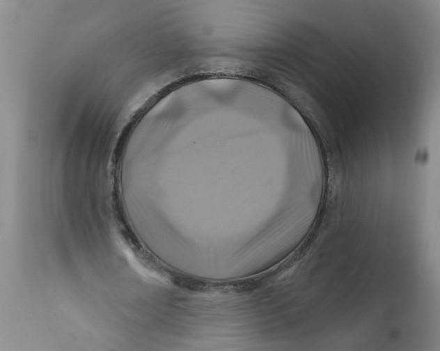X0000112390674200909101411