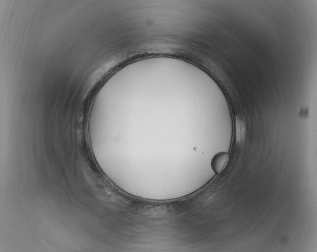 X0000112390675200909101411