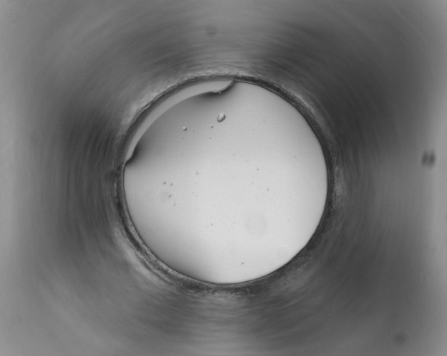 X0000112390677200909101411