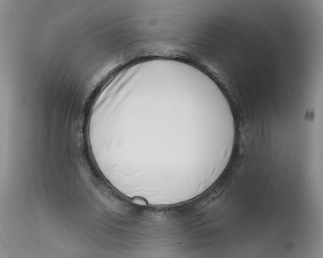 X0000112390679200909101411
