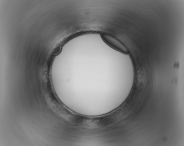 X0000112390680200909101411