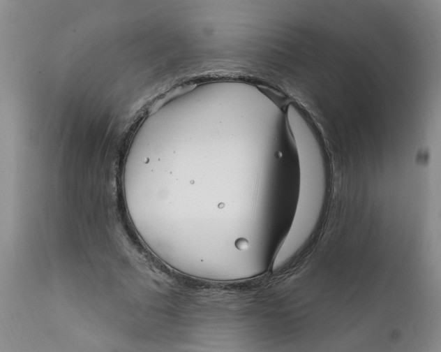 X0000112390681200909101411