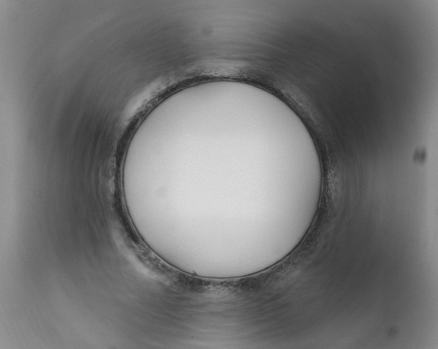 X0000112390682200909101411