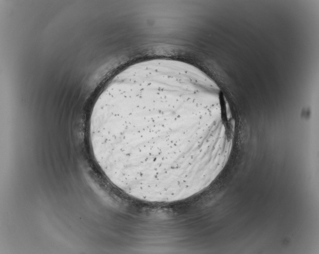 X0000112390683200909101411