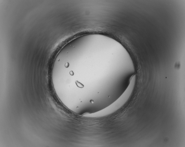 X0000112390684200909101411