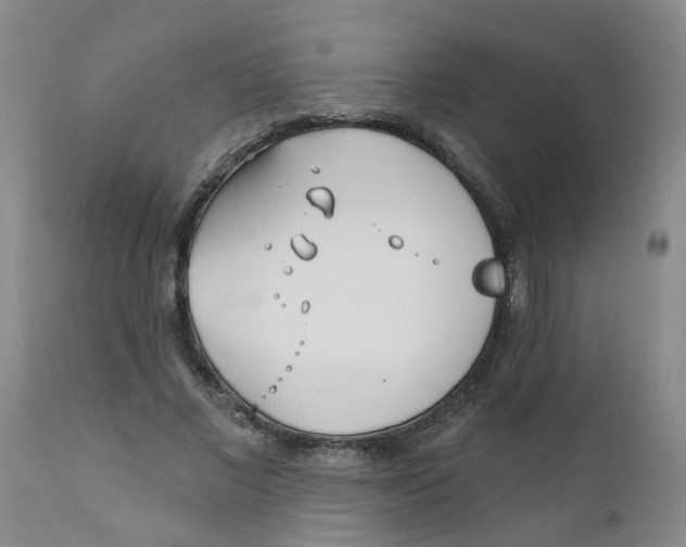 X0000112390685200909101411