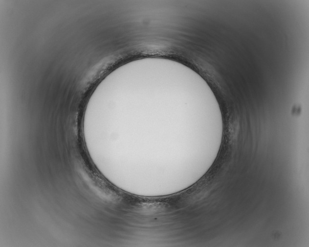 X0000112390686200909101411
