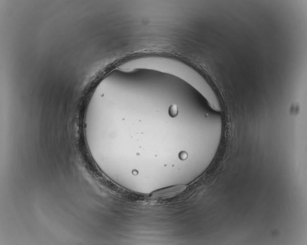 X0000112390688200909101411