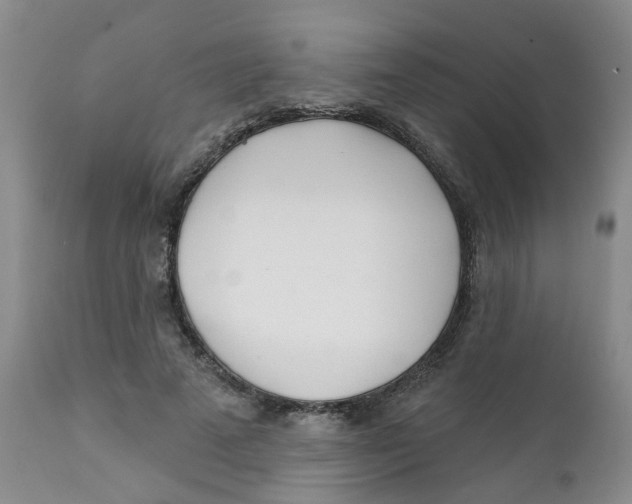 X0000112390689200909101411