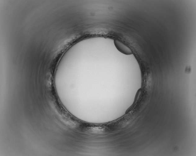 X0000112390692200909101411