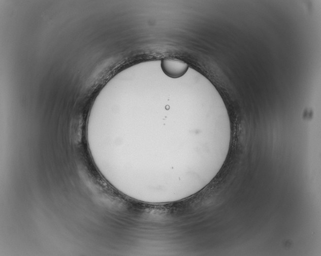 X0000112390694200909101411