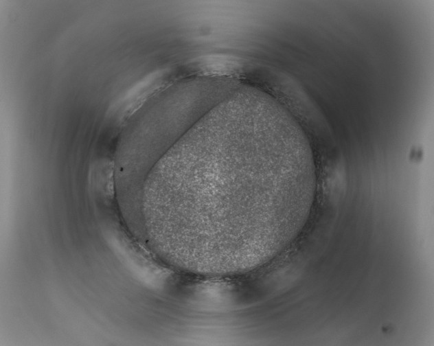 X0000112390696200909101411
