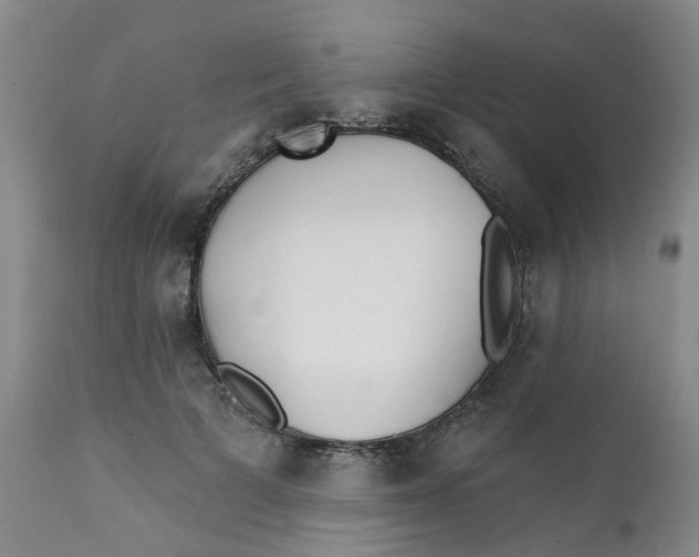 X0000112390697200909101411