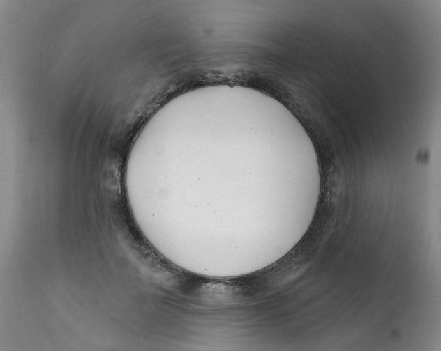 X0000112390699200909101411