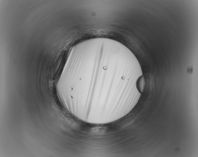 X0000112390700200909101411