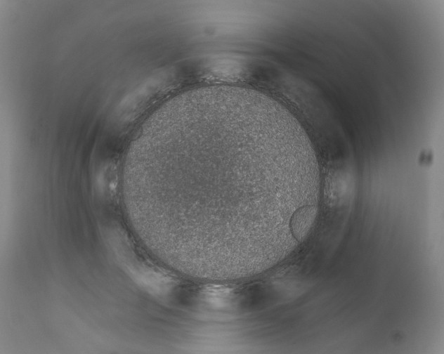 X0000112390701200909101411