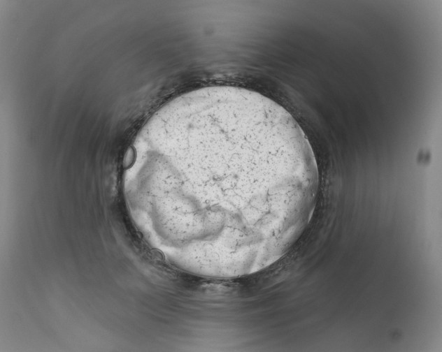 X0000112390703200909101411