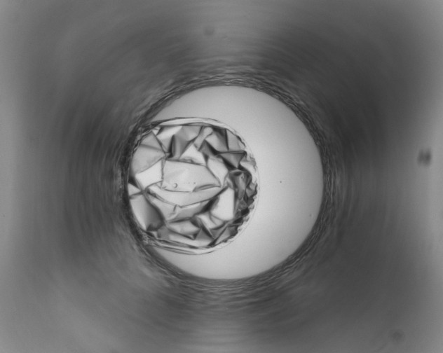 X0000112390704200909101411