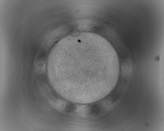 X0000112390705200909101411