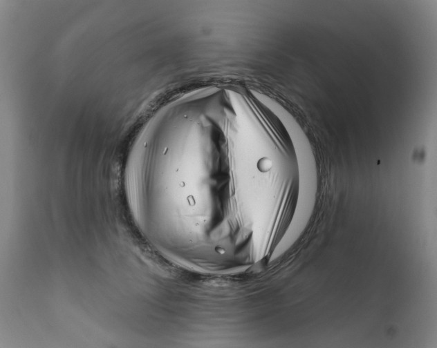 X0000112390708200909101411