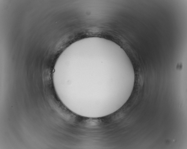 X0000112390711200909101411
