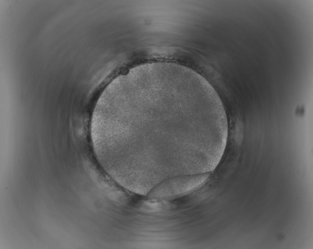 X0000112390712200909101411