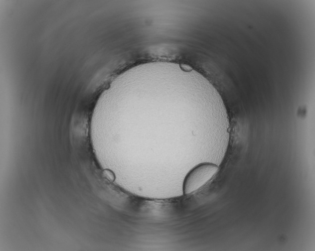 X0000112390713200909101411